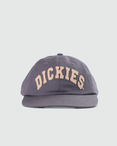 Dickies Princeton 6 Panel Charcoal