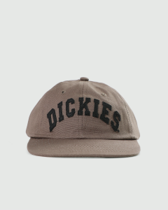 Dickies Princeton 6 Panel Rinsed Moss