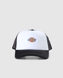 Dickies Curved Peak Logo Trucker Black