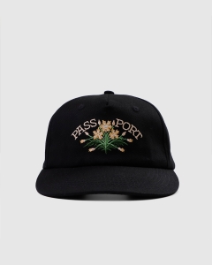 Passport Bloom Workers Snapback Black