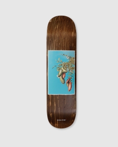 Passport Native Fruit Series Deck Lime