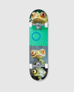 Push Gecko FP Complete Green