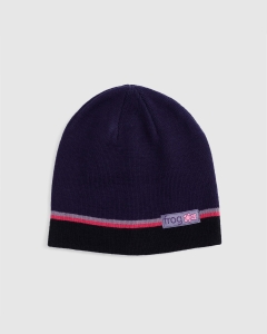 Frog Skateboards Teddy Beanie Navy