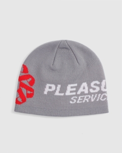 Pleasures Now Service Skully Beanie Grey