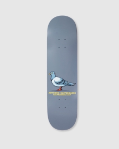 Antihero Team Pigeon Deck Grey