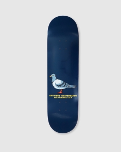 Antihero Team Pigeon Deck Navy