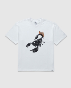 Nike ACG Scorpion T-Shirt Summit White