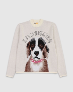 Stingwater Emotional Support Dog Sweater White