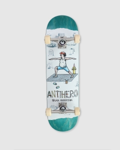 Antihero Recycling Complete Brian Anderson