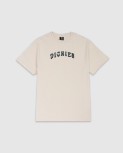 Dickies Groove Classic Oversized Fit T-Shirt Bone